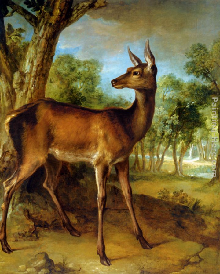 The Watchful Doe painting - Jean-Baptiste Oudry The Watchful Doe art painting